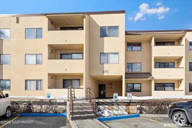03-DSC05374
