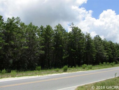 Lot 9 Sea Meadows Dr, Perry, FL 32348 - photo 2