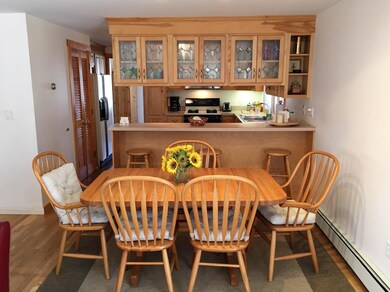 53 Netock Ave, Oak Bluffs, MA 02568 - photo 7