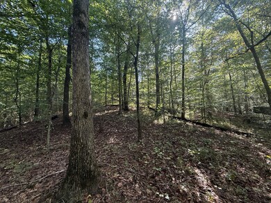 0 Burgess Loop, Middleton, TN 38052 - photo 5