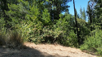 12226 Pine Cone Cir, Grass Valley, CA 95945 - photo 5