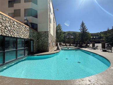 6 Emmons Rd unit 379/381, Crested Butte, CO 81225 - photo 4