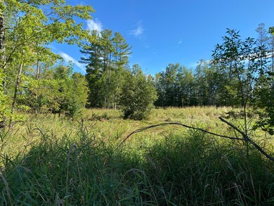 3 acres 7th St, Weyerhaeuser, WI 54895 - photo 3