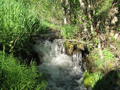 2551 Flowery Trail Rd, Chewelah, WA 99109 - photo 4