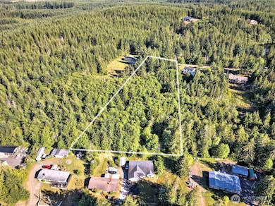 221 W Little Nahwatzel Dr, Shelton, WA 98584 - photo 6