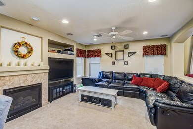 Gas Fireplace in Living Room