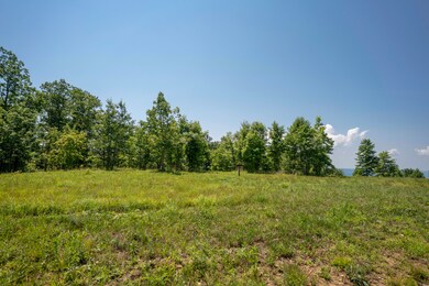 0 Bear Crawl Rd unit 1302262, Jasper, TN 37347 - photo 4