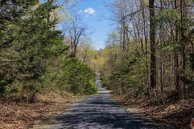 TBD Shotgun Spring Rd, New Market, VA 22844 - photo 2