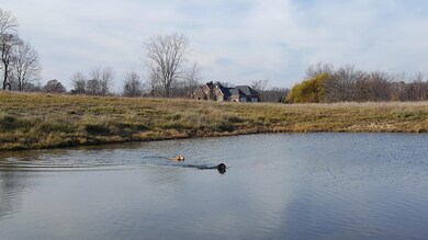 lot 2 pond