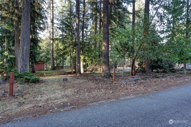 22406 Blue Lake Ct SE, Yelm, WA 98597 - photo 2