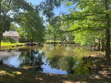 803 Bowen Marchant Rd, Tifton, GA 31793 - photo 4