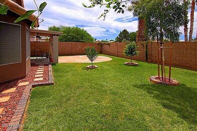 backyard1_700