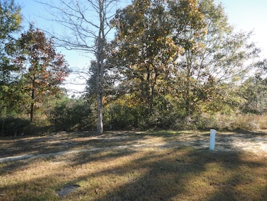 0 Calloway Cove, Gautier, MS 39553 - photo 2