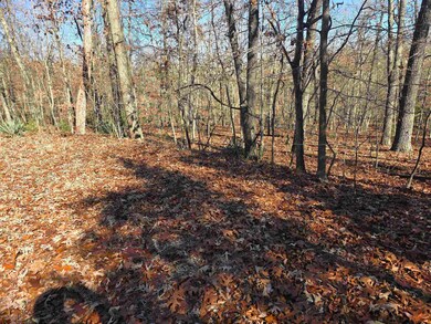 L11,B5 Wasatch Trail, Cherokee Village, AR 72529 - photo 6