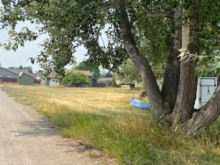 IMG_0701