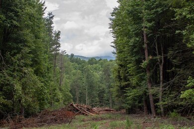 LOT 1 Clay's Way, Blue Ridge, GA 30540 - photo 3