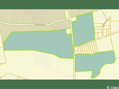 Hwy 66 Hewitt Rd, Loris, SC 29569 - photo 4