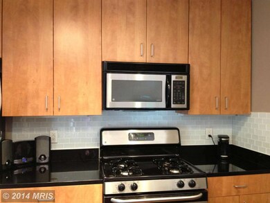 1144 Cove Rd unit 201, Annapolis, MD 21403 - photo 2