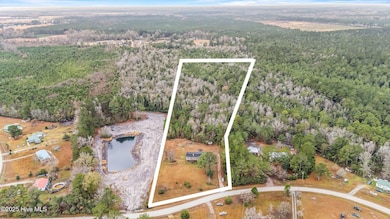 119 Buckeye Ln, Burgaw, NC 28425 - photo 4