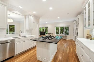 Bright, spacious kitchen with hardwood floors, SS appliances, and an abundance of white cabinetry.