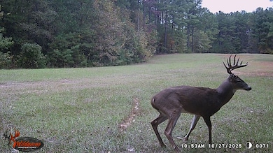 5 Points Rd, Gray, GA 31032 - photo 3