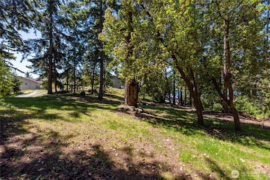 0 Chilberg Ave, La Conner, WA 98257 - photo 5