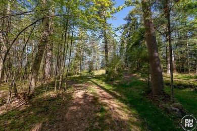 LotOnRainbowLake_Driveway