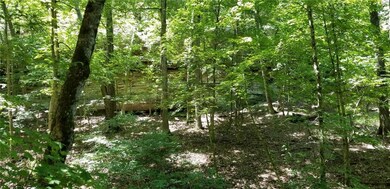 0 Valley View, Eureka Springs, AR 72632 - photo 5