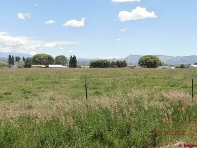 0 Road 24 1 unit 707704, Cortez, CO 81321 - photo 4