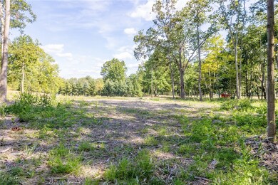View of tree filled area