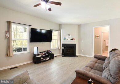 9349 Mountjoy Rd, Marshall, VA 20115 - photo 6