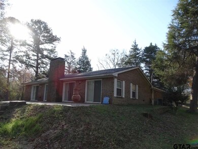 14061 County Road 291, Tyler, TX 75707 - photo 4