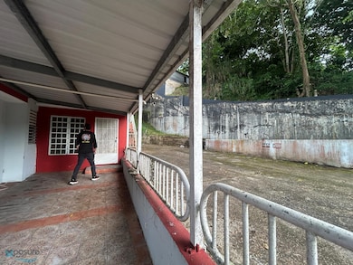 111RD Bo Pueblo Km 2 61 Lares Pr 00669, Lares, PR 00669 - photo 3