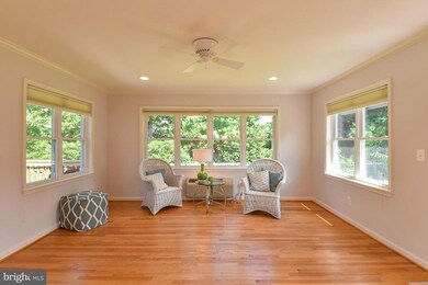 8409 Conover Place, Alexandria, VA 22308 - photo 6