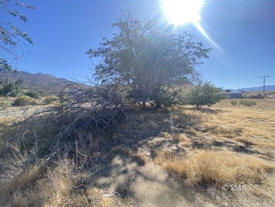 8521 Fremontia Way, Weldon, CA 93240 - photo 3