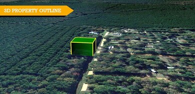 June Dr, Saratoga, TX 77376 - photo 2