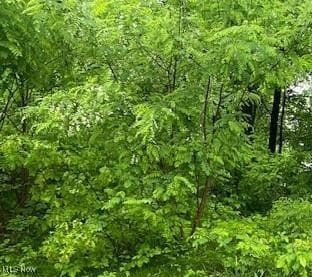 0 Lundys Ln unit 5131009, Lake Milton, OH 44429 - photo 3