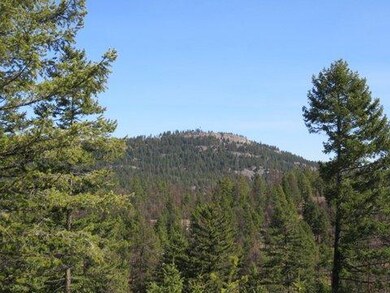 1215 Hideaway Ln, Whitefish, MT 59937 - photo 4