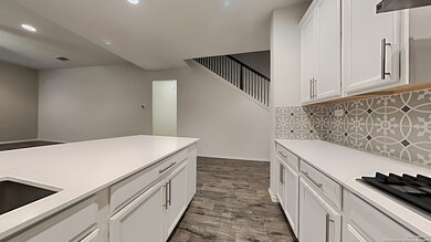 10513 Coyote Run, San Antonio, TX 78254 - photo 6