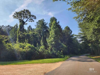 0 Lowery Rd unit Lot 10 382938, Atmore, AL 36502 - photo 2
