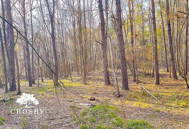 2555 E Brewington Rd, Sumter, SC 29153 - photo 7