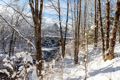IMG_9332