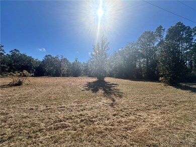 10278 W Belfast St, Crystal River, FL 34428 - photo 5