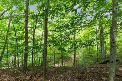 4.92 Acre Wooded Lot