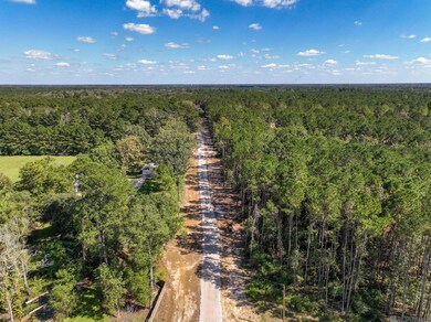 34754 Clinton Allen Rd, Denham Springs, LA 70706 - photo 5