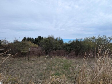 N/A Manor Rd, Au Gres, MI 48703 - photo 5