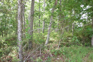 Satucket Land1