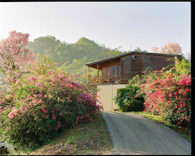 SR 526 Bosque Tanama, Adjuntas, PR 00601 - photo 5