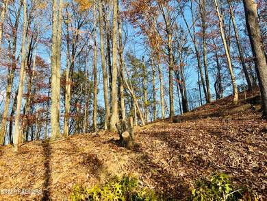 This is the top of the property