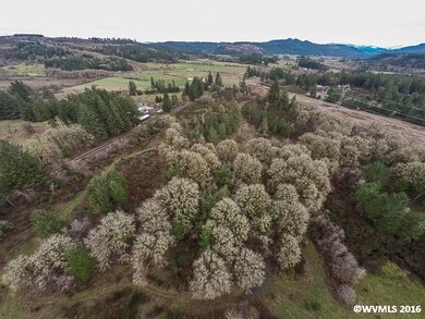 Valley View Parcel 2 (4 56 Acre) Dr, Scio, OR 97374 - photo 3